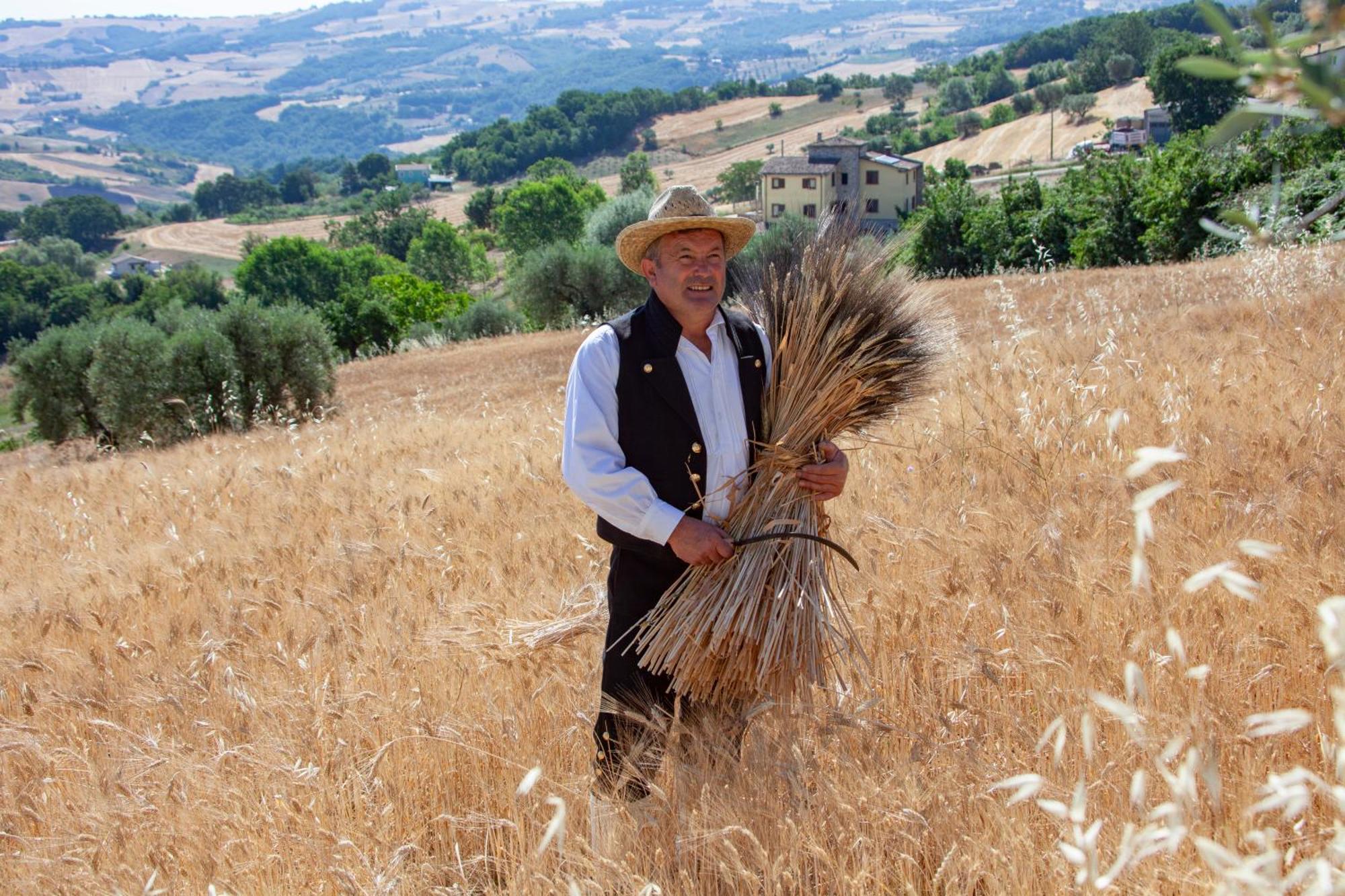 Agriturismo Terra E Sapori Campodipietra المظهر الخارجي الصورة
