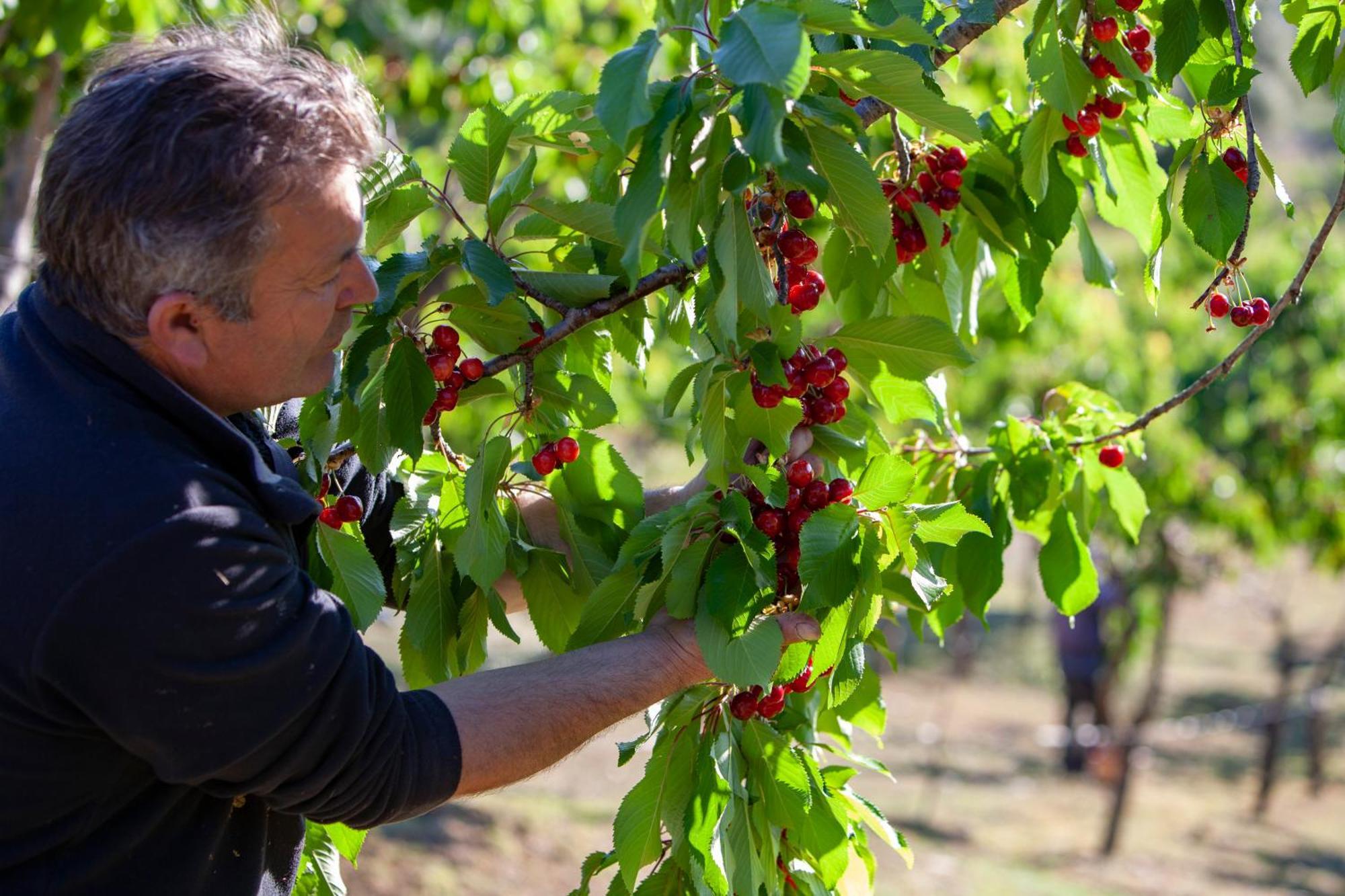Agriturismo Terra E Sapori Campodipietra المظهر الخارجي الصورة