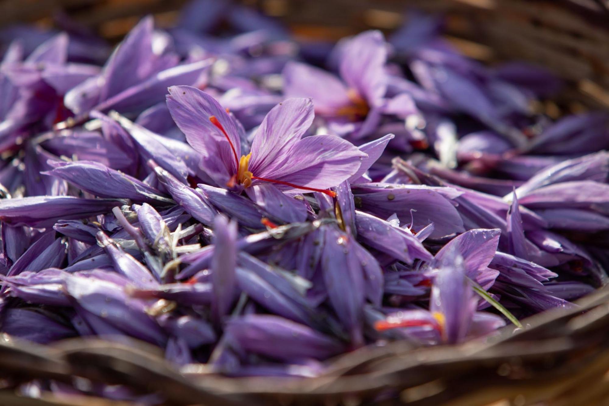 Agriturismo Terra E Sapori Campodipietra المظهر الخارجي الصورة