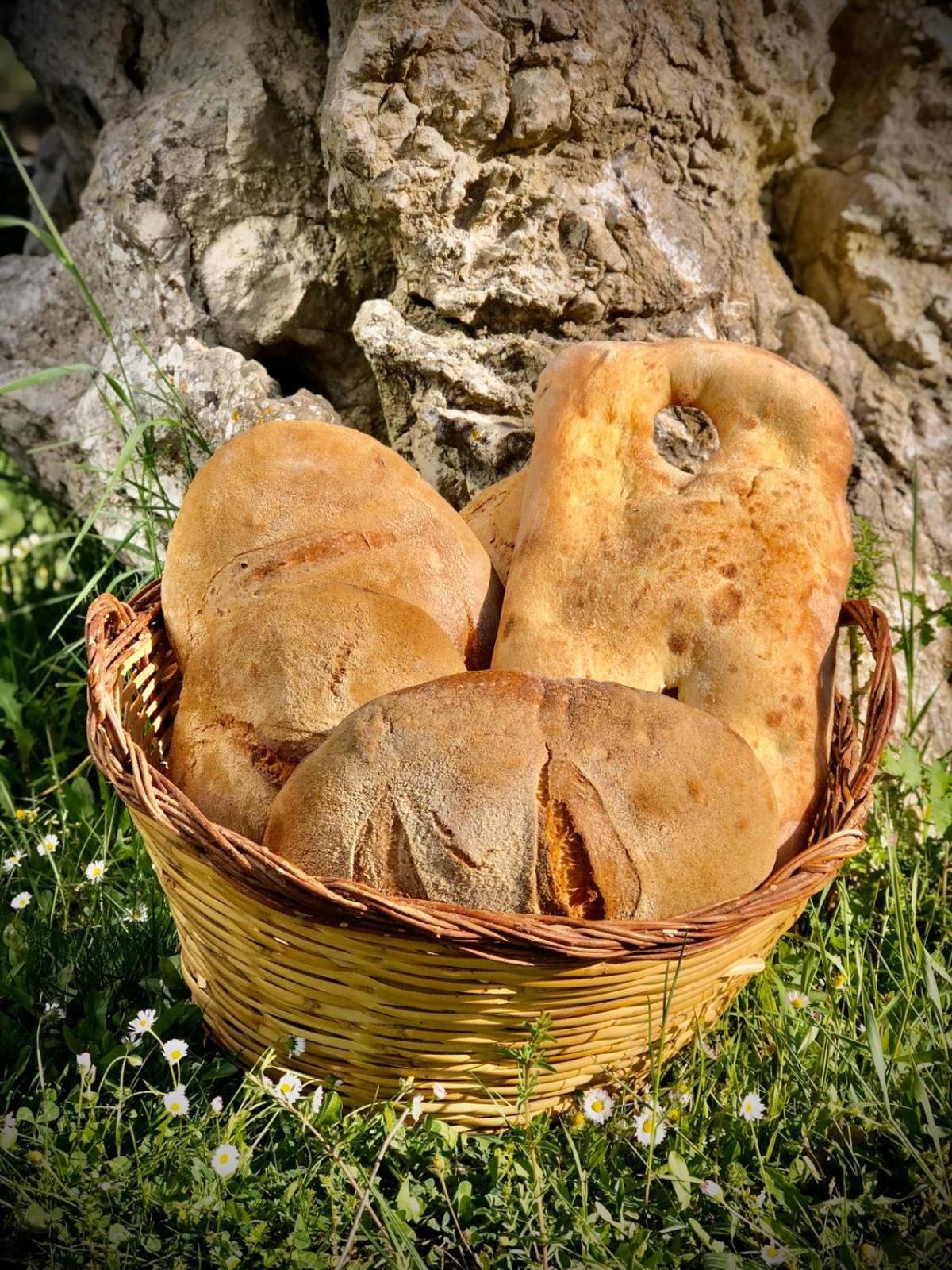 Agriturismo Terra E Sapori Campodipietra المظهر الخارجي الصورة
